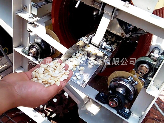 油炸機廠家